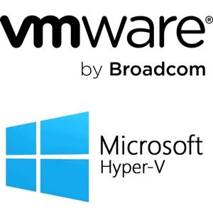 hypervisors (vm ware,microsoft hyper-v)